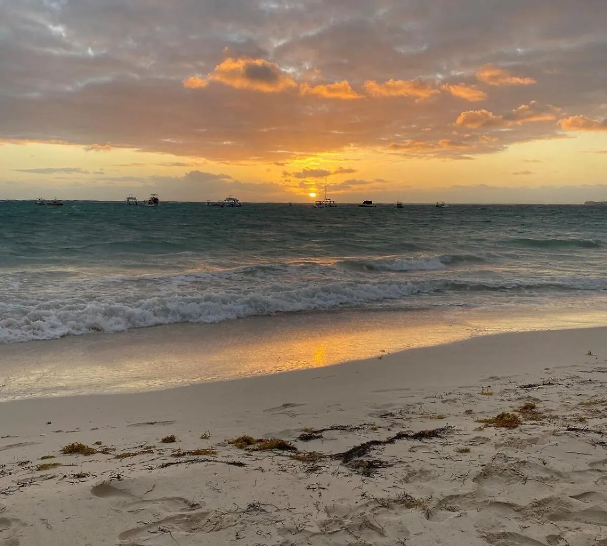Séjour chez l'habitant Hotel Las Rosas De Punta Cana République dominicaine