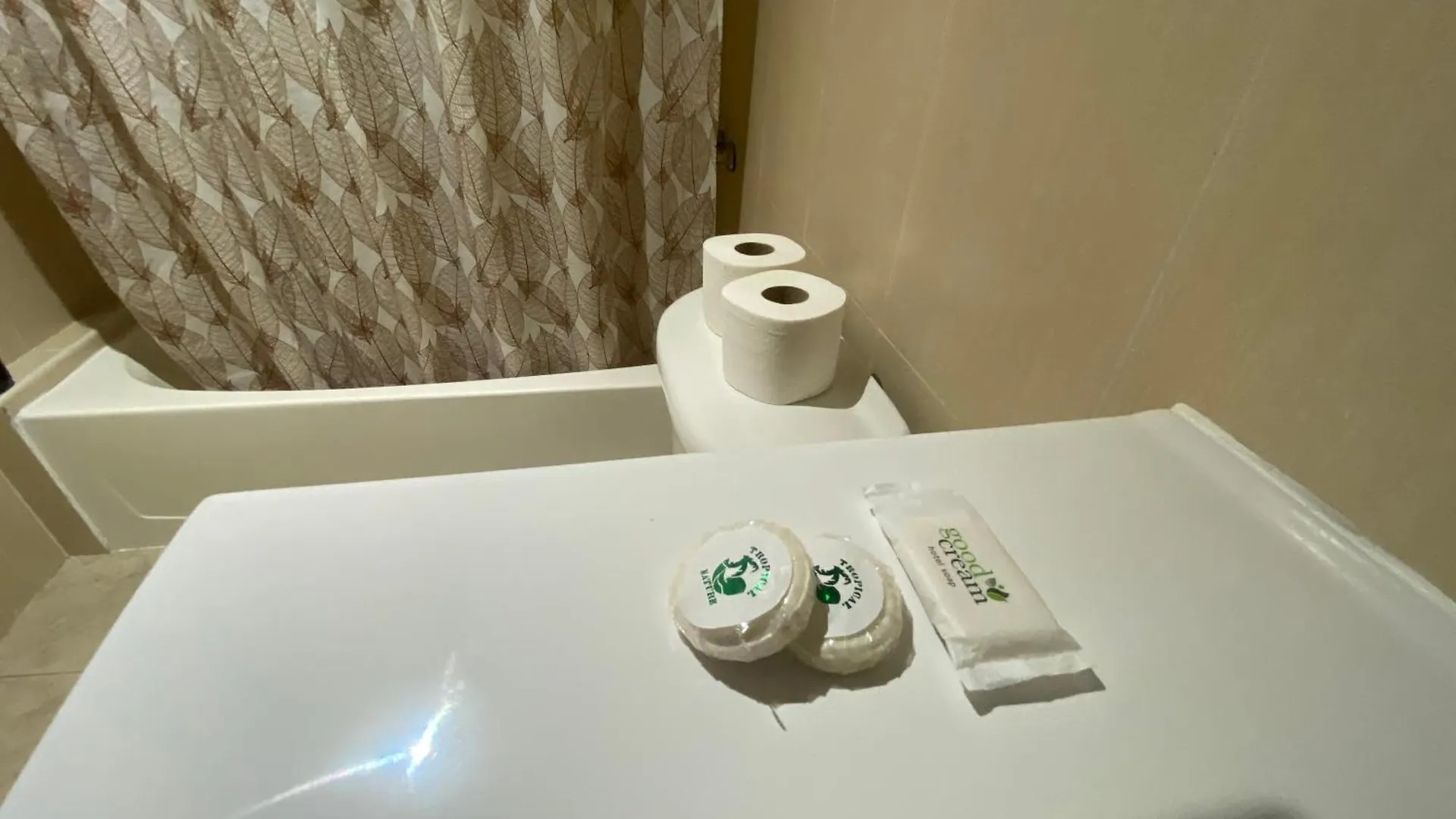 Hotel Las Rosas De Punta Cana Rum i privatbostad